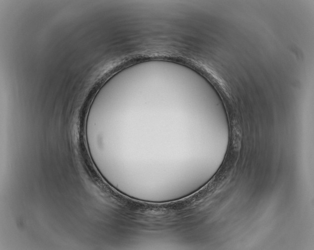 X0000112880631200908211052