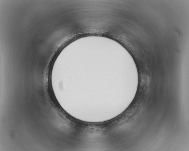 X0000112880632200908211052