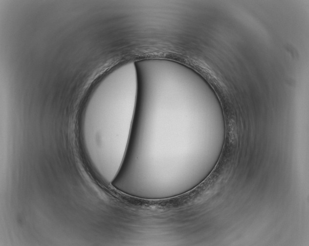 X0000112880634200908211052