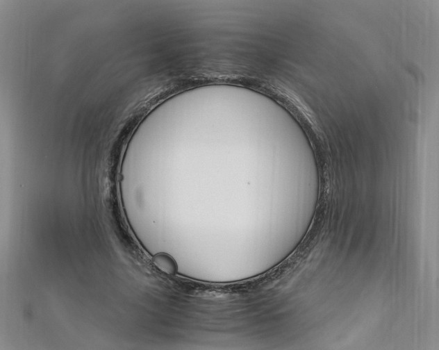 X0000112880635200908211052