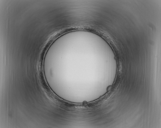 X0000112880636200908211052