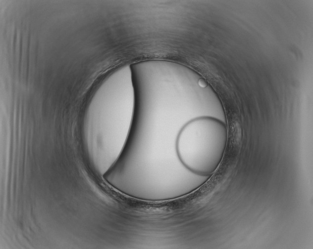 X0000112880638200908211052