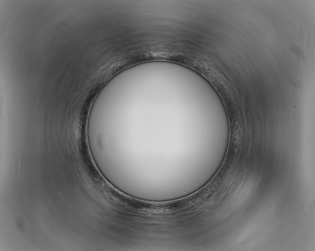 X0000112880639200908211052