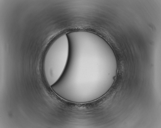 X0000112880640200908211052