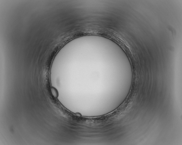 X0000112880641200908211052