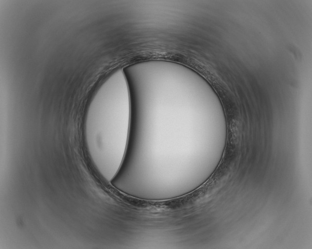 X0000112880642200908211052