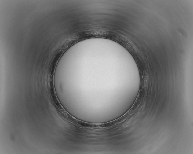 X0000112880643200908211052