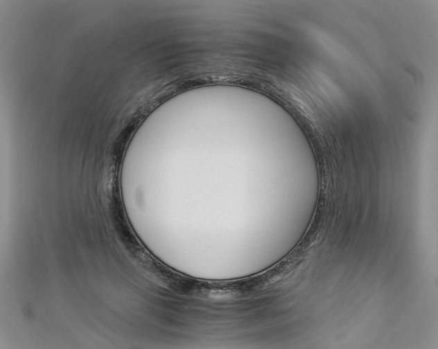 X0000112880645200908211052