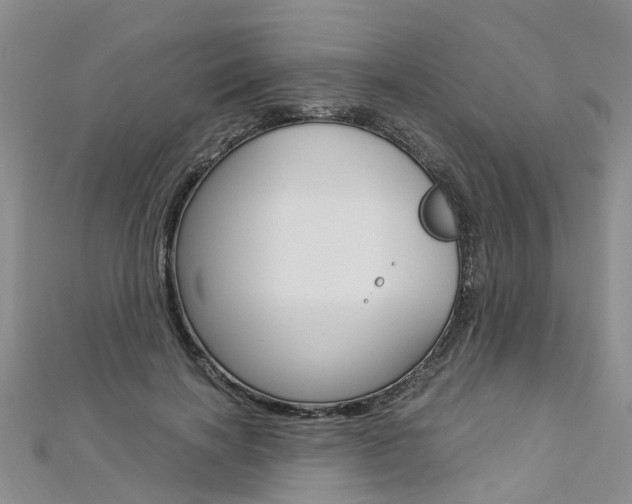 X0000112880646200908211052