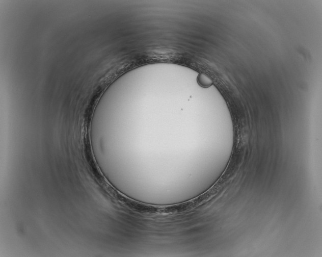 X0000112880647200908211052