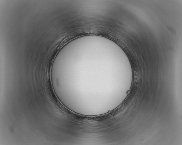 X0000112880648200908211052