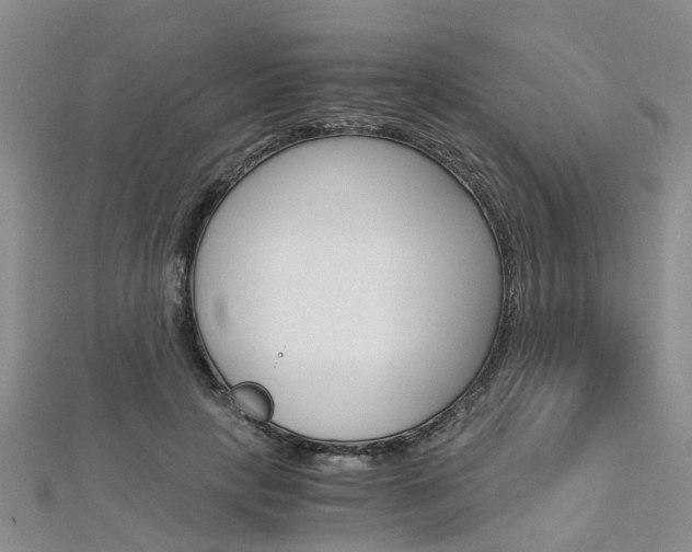 X0000112880649200908211052