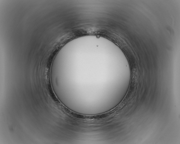 X0000112880650200908211052