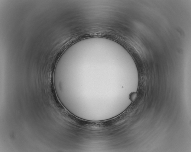 X0000112880652200908211052