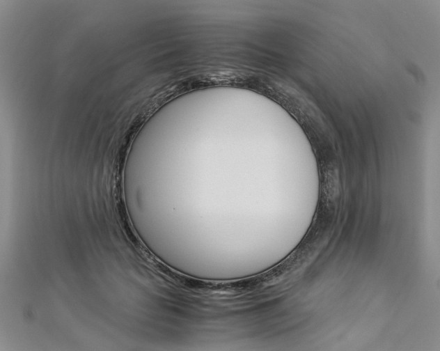 X0000112880653200908211052