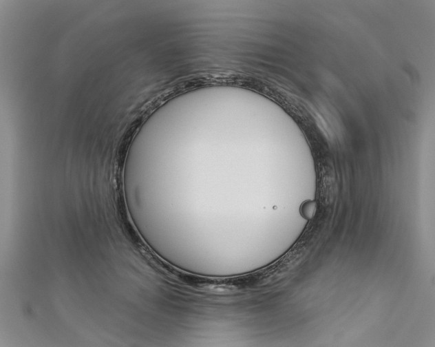 X0000112880654200908211052