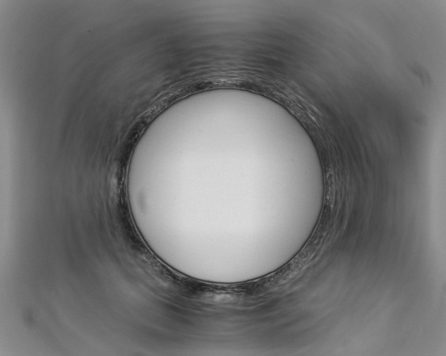 X0000112880655200908211052