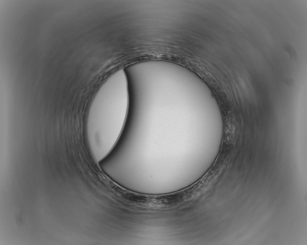 X0000112880656200908211052