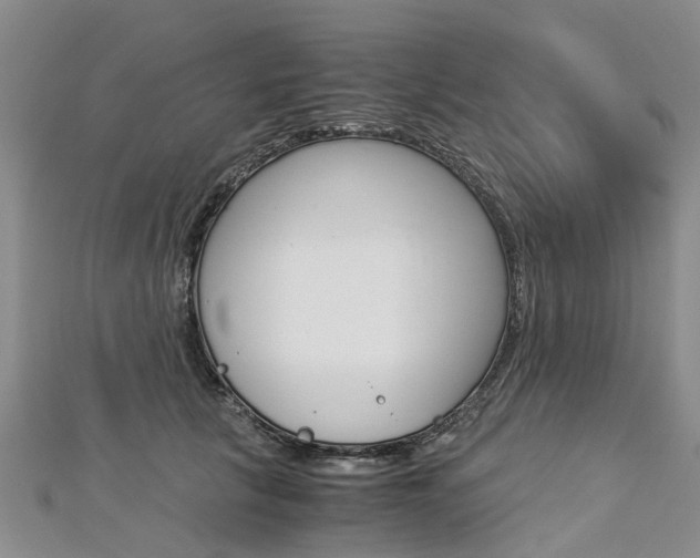 X0000112880657200908211052