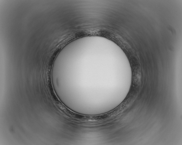 X0000112880658200908211052