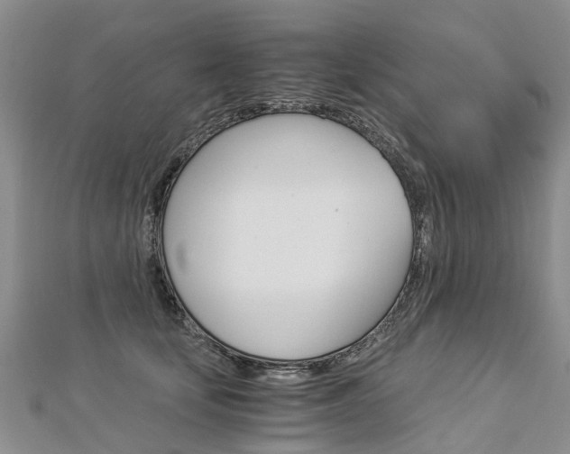 X0000112880659200908211052