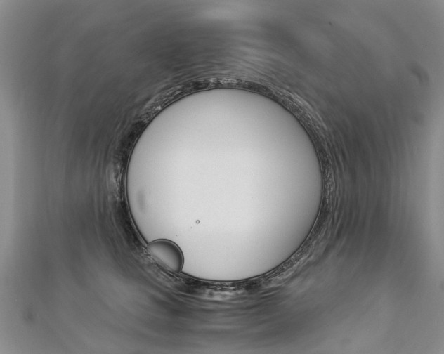 X0000112880661200908211052