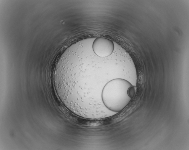 X0000112880662200908211052