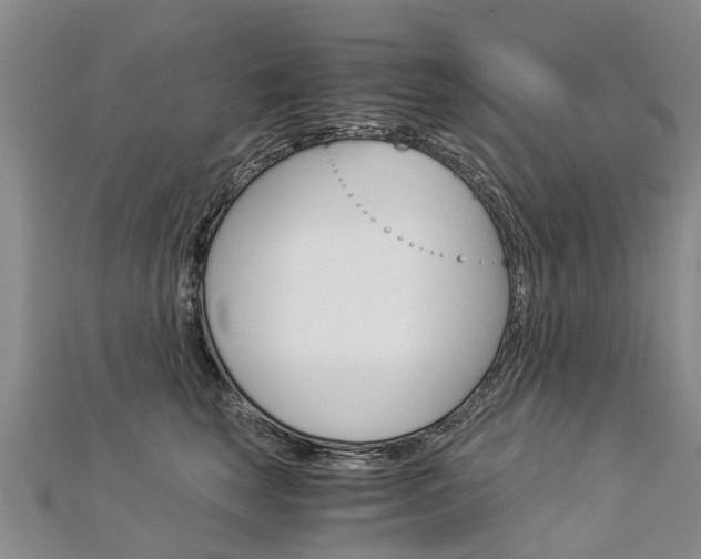 X0000112880663200908211052