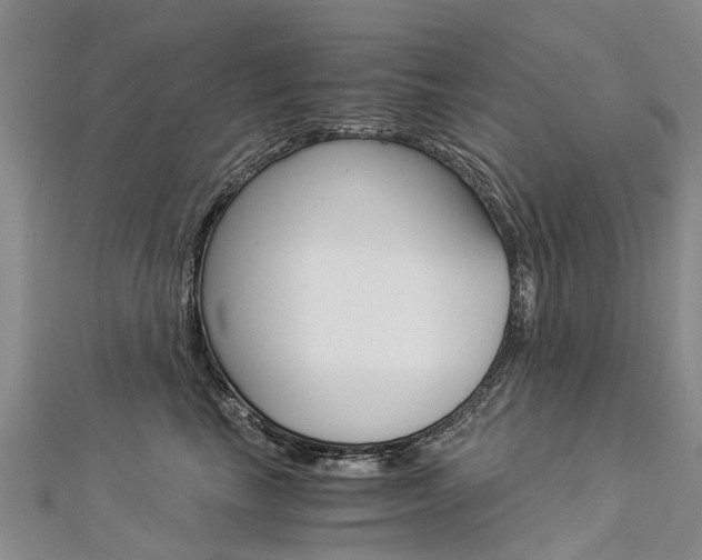 X0000112880665200908211052