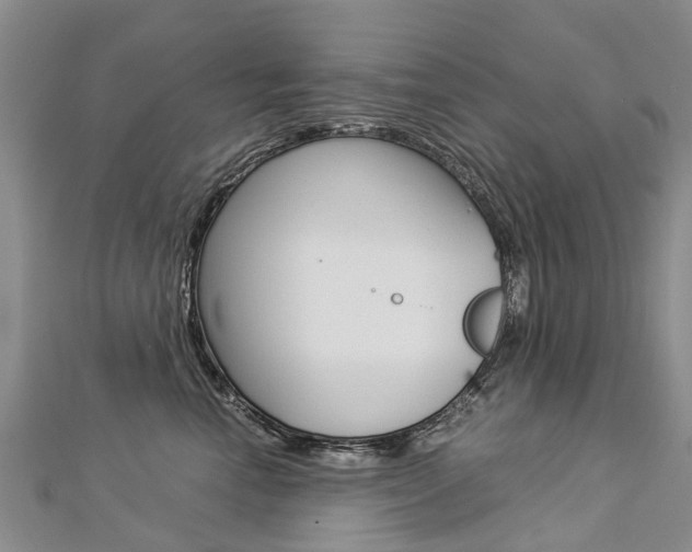 X0000112880666200908211052