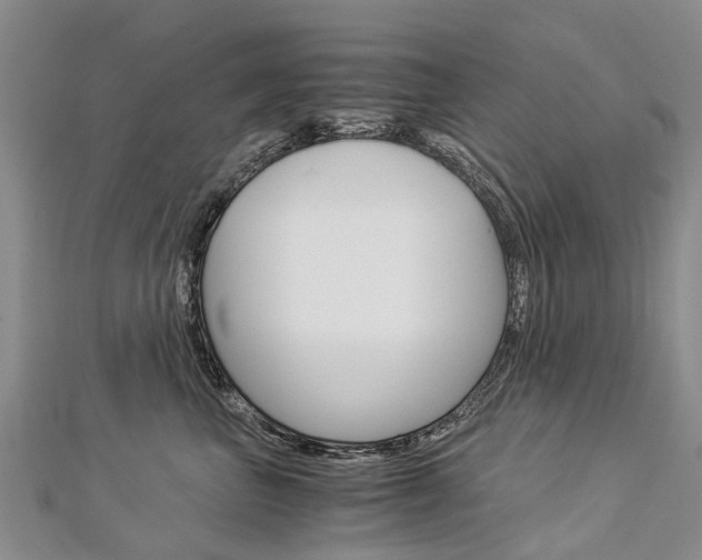 X0000112880667200908211052