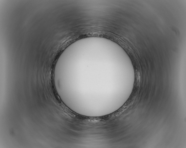 X0000112880668200908211052