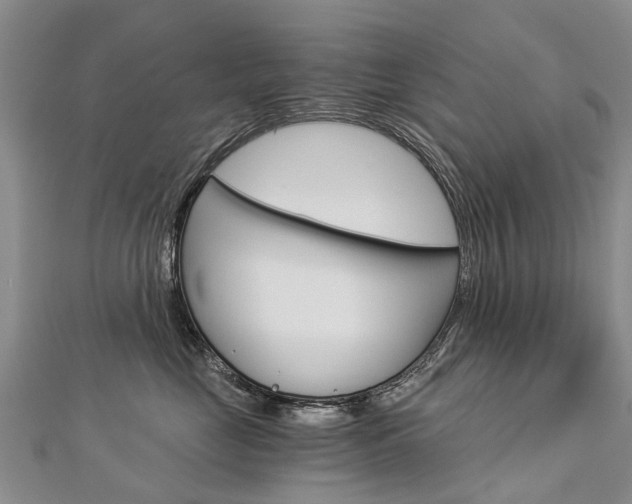 X0000112880669200908211052