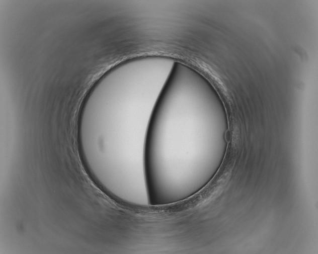 X0000112880673200908211052