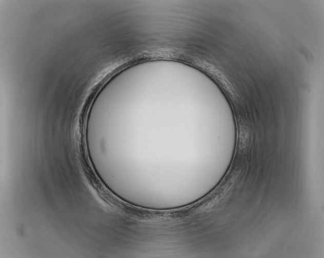 X0000112880674200908211052