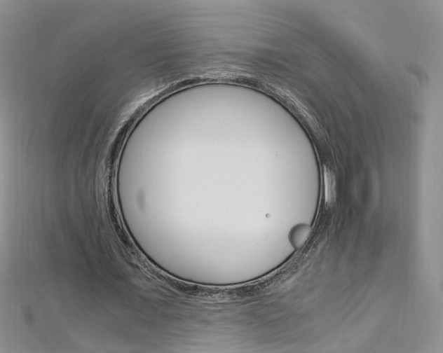 X0000112880675200908211052