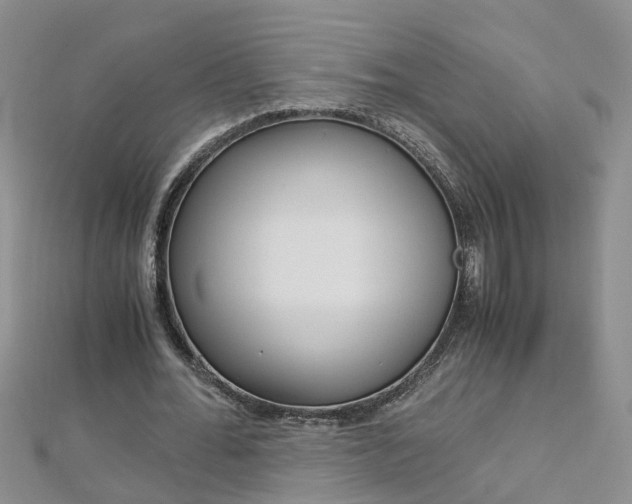 X0000112880676200908211052