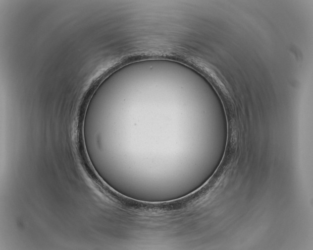 X0000112880677200908211052