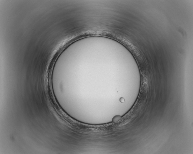 X0000112880678200908211052