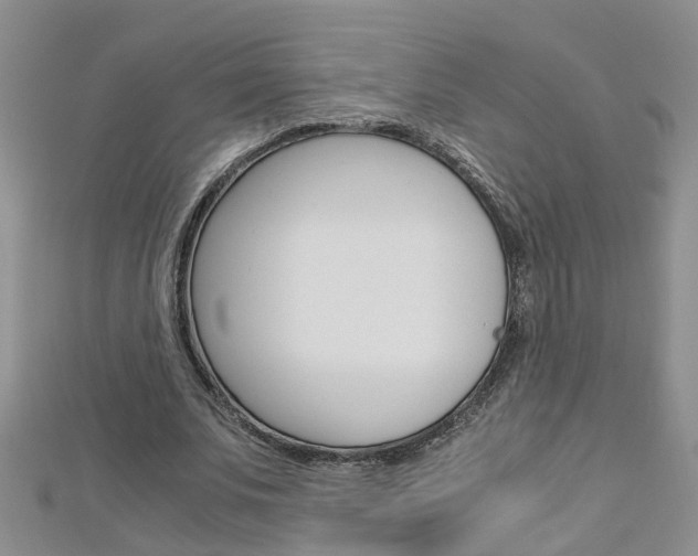 X0000112880679200908211052