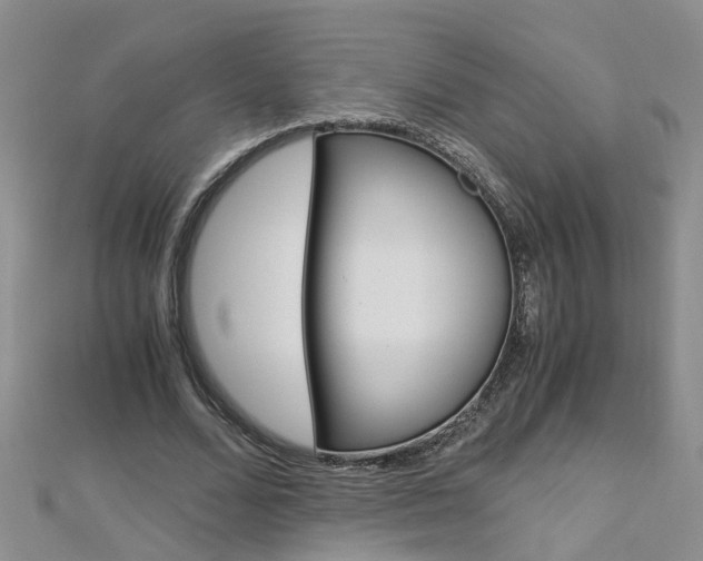 X0000112880680200908211052