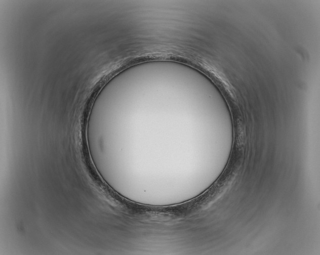 X0000112880681200908211052