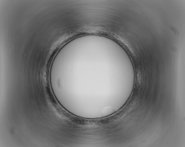 X0000112880682200908211052