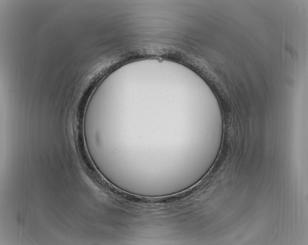 X0000112880683200908211052