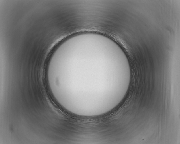 X0000112880684200908211052