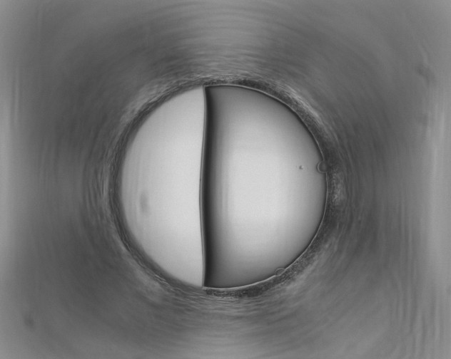 X0000112880685200908211052