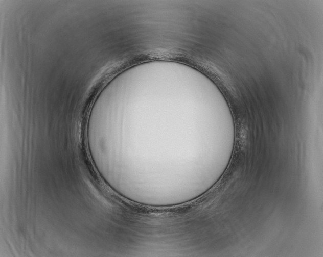 X0000112880686200908211052