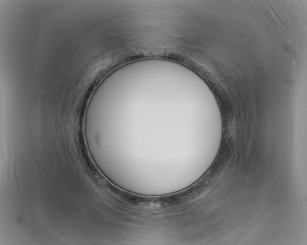 X0000112880687200908211051