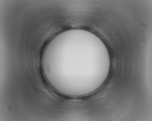 X0000112880691200908211051