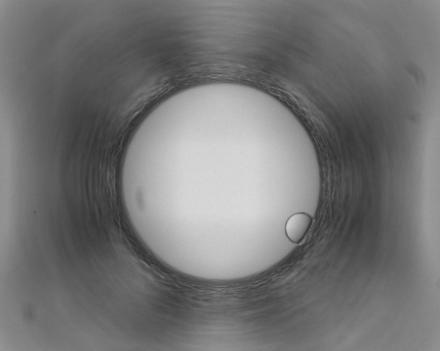 X0000112880696200908211051